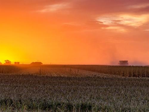 Upper Rep wheat sunset