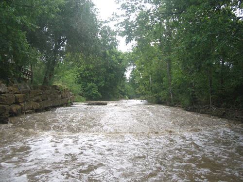 High Streamflow in Mill Creek