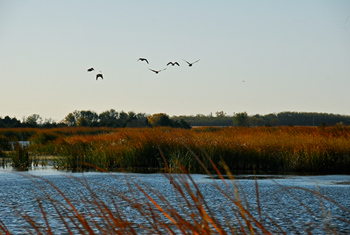 Quivira National Wildlife Refuge