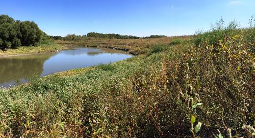 Completed Streambank Stabilization Site